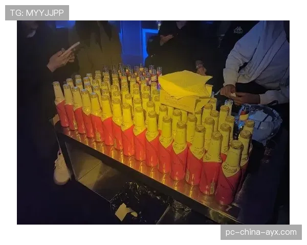 球迷夜场离场后的公共安全巡逻安排公布，篮球场夜场