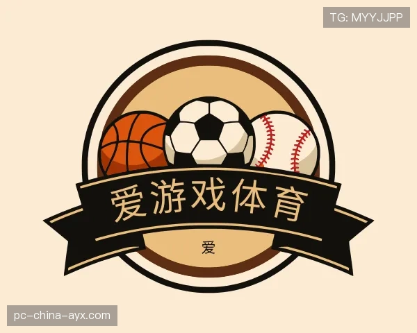 介绍爱游戏体育